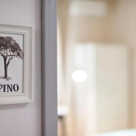 Loft Pino Centrale, A/c Wifi *